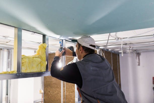 Best Wall Insulation Contractor  in Eden Isle, LA