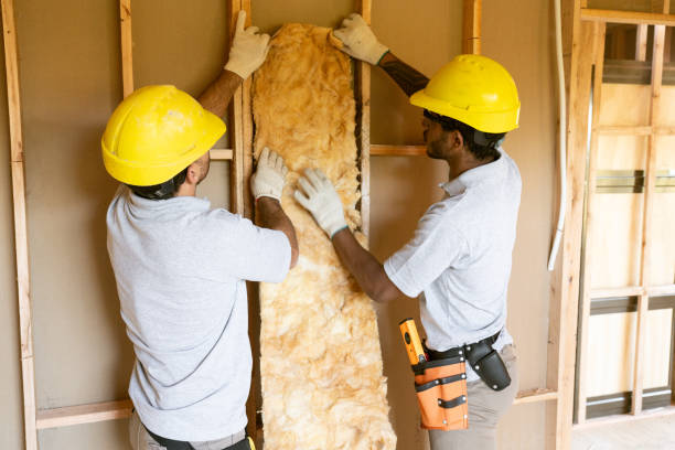 Best Attic Insulation Installation  in Eden Isle, LA