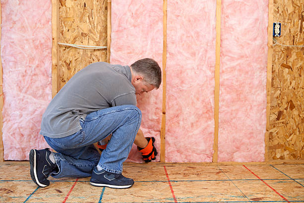 Best Cellulose Insulation  in Eden Isle, LA