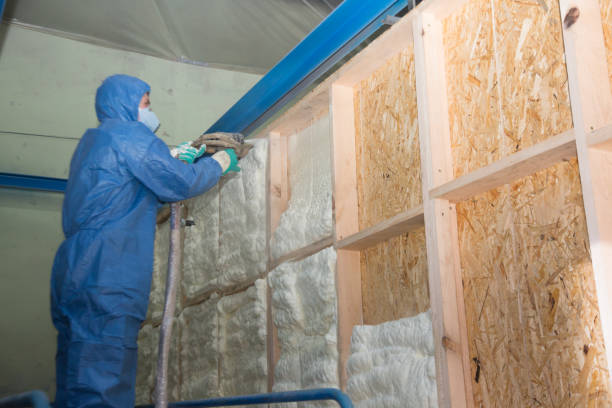 Best Insulation for New Construction  in Eden Isle, LA